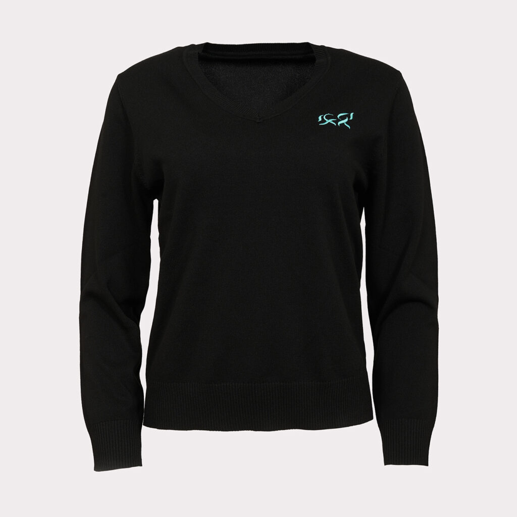 Black Robin-Blue V-Neck Sweater, immagine 3